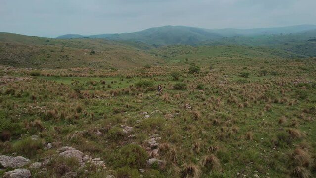 Drone follows a man waiting for his dog and then walking on a road over the countryside. Ceballos river, Cordoba. Argentina.