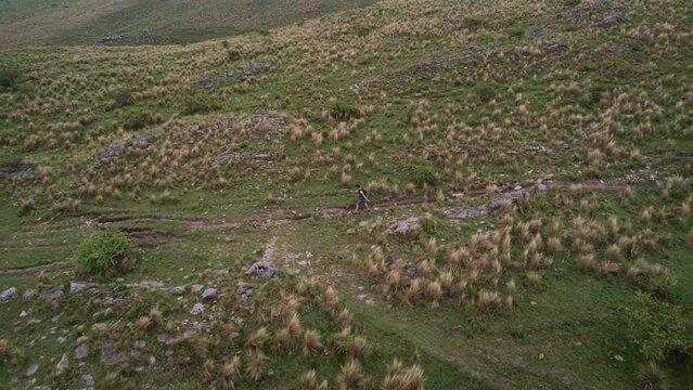 Drone follows a man walking accompanied by his dog on a road over the countryside. Ceballos river, Cordoba. Argentina.