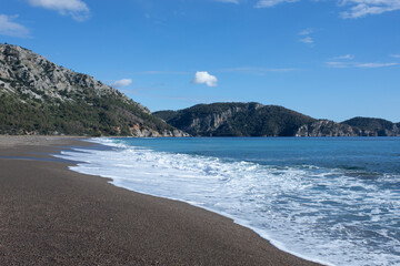sandy beach  under sunny sky