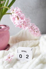 Pink hyacinth in vase and calendar date April 2. Included in the group of horizontal and vertical photos with all April dates