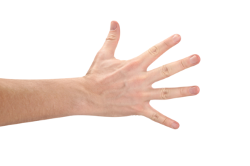 Open male hand cut out