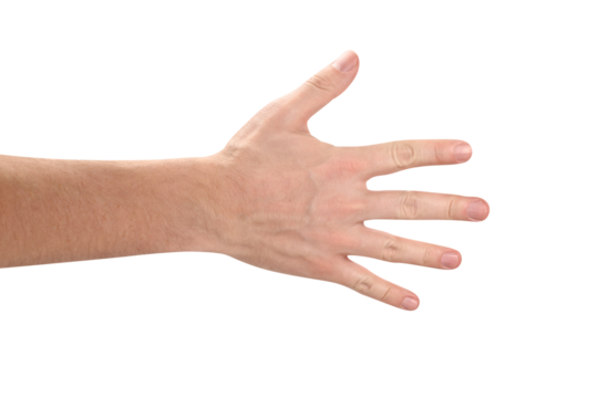 Open male hand cut out