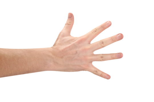 Open male hand cut out