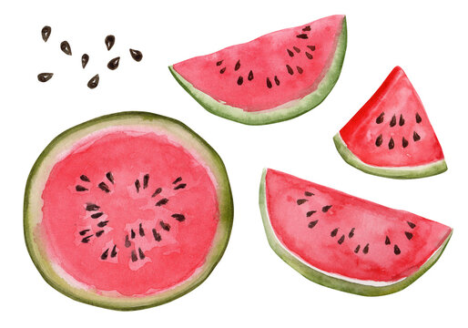 Watercolor illustration, set. Watermelon, half a watermelon, a piece of watermelon, a slice of watermelon