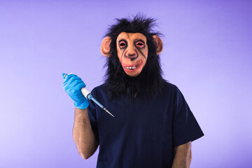 Disguised person in a monkey mask and doctor's outfit, holding a laboratory pipette, on purple...