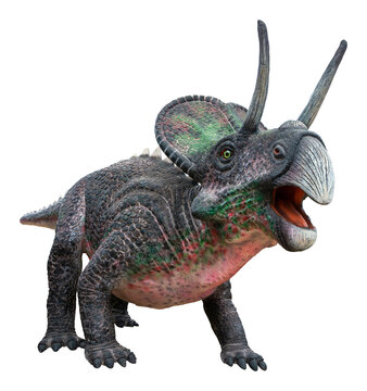Zuniceratops was a herbivore ceratopsian dinosaur from the mid-Turonian of the Late Cretaceous Period, Zuniceratops with transparent background