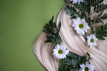 Nature's beauty of hair adorned with ferns and daisies. hair care products infused with plant-based ingredients and botanical extracts bring the same natural beauty.