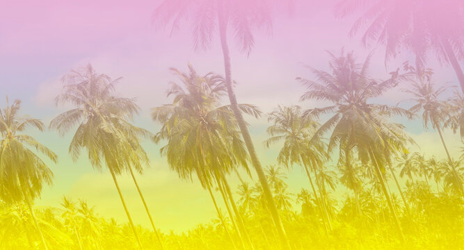 The holiday of Summer with colorful theme as palm trees background as texture frame background