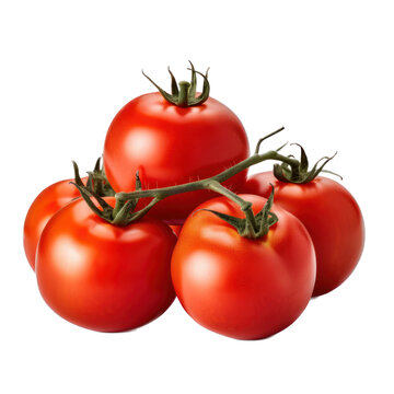 Tomatoes on a white background isolated