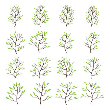 Set of trees with branch and leaves art decoration isolated.