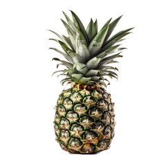 Pineapple isolated