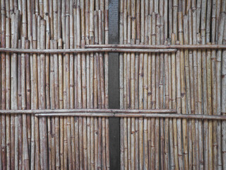Close up dry bamboo wall.