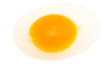 raw egg isolated