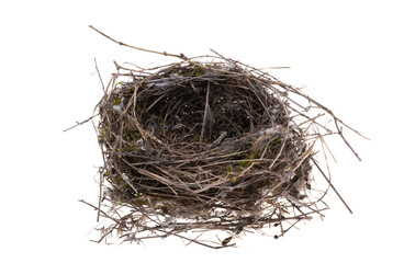 Obraz premium bird's nest isolated