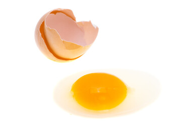 raw egg isolated