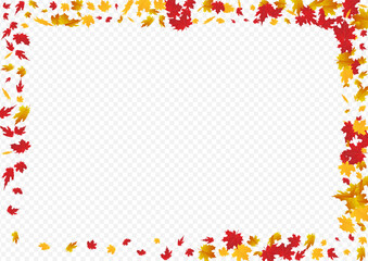 Autumnal Plant Vector Transparent Background.
