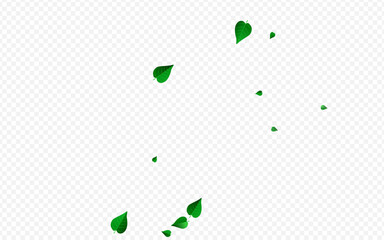 Swamp Foliage Herbal Vector Transparent