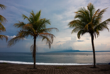 Palm trees on sea coast on sunset on Bali island, Indonesia