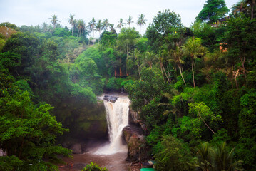 Obraz premium Scenic waterfall in rainforest on Bali island, Indonesia