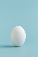 White egg standing on blue background