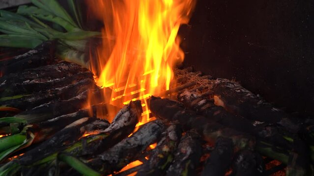 cocina de cal&ccedil;ots t&iacute;pico de Catatonia en barbacoa
