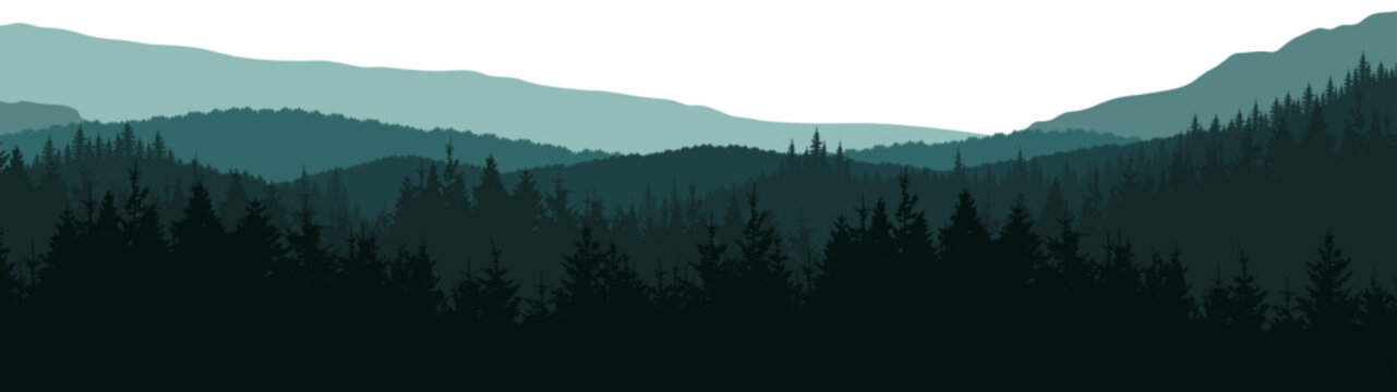 Forest hill mountains woods blackforest vector illustration banner nature outdoor adventure landscape panorama - Green silhouette of spruce and fir trees, isolated on white background