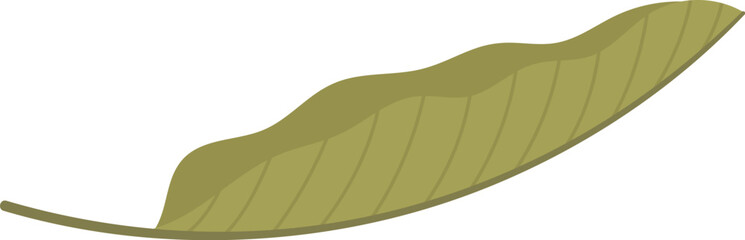 Fototapeta premium Exotic tropical leaf