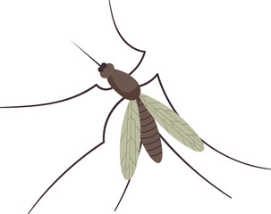 Small flying mosquito insect