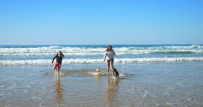 Sisters playing with their Border Collies on the beach