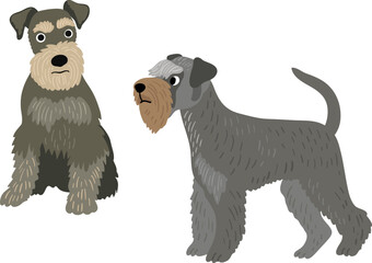 Dog. Terrier. Vector illustration. On a white background - 583444922