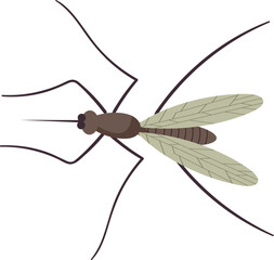 Small flying mosquito insect