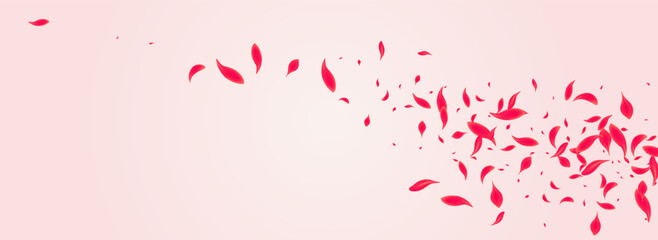 Ruby Petal Vector Pink Panoramic Background.