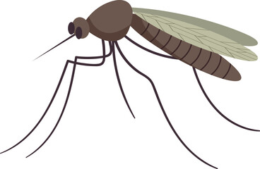 Small flying mosquito insect