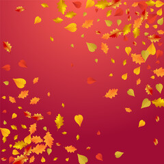 Green Leaf Vector Red Background. November