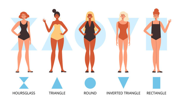 Female figure and body types and classification, vector illustration isolated.