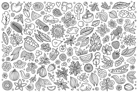 Vector doodle cartoon set of Summer nature theme objects and symbols