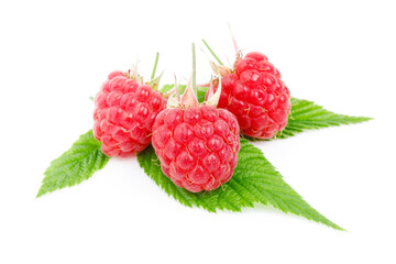 Three ripe juicy raspberries on green leaves isolated on white background.