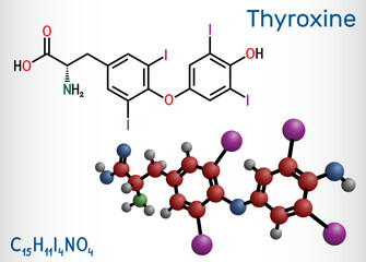 Thyroxine, T4, levothyroxine molecule. It is thyroid hormone, prohormone of thyronine T3, used to treat hypothyroidism. Structural chemical formula, molecule model.