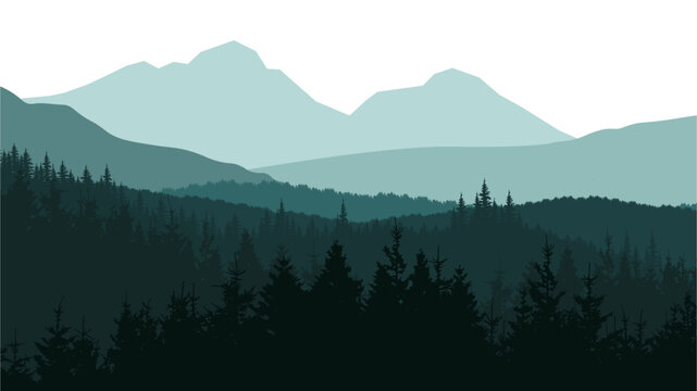 Forest woods hill mountains peak vector illustration banner nature outdoor adventure travel landscape panorama - Green silhouette of spruce and fir trees, isolated on white background