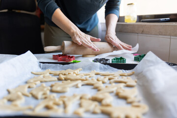 Fototapeta na wymiar A woman making cookies in the shape of dinosaurs