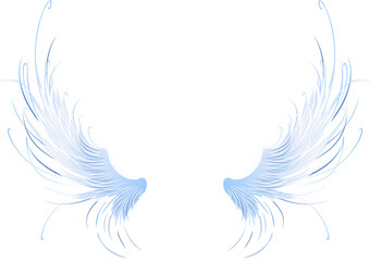 Obraz premium Angel Wings