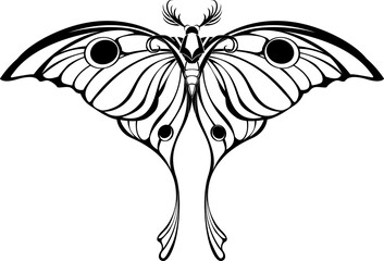 Art Butterfly