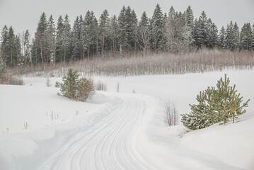 Deep Snow covered curved road with forest in background in overcast winter day