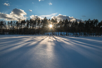 Bright setting sun shining through forest trees and tree shadows in the snow in winter landscape