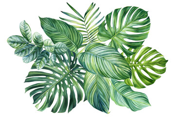 Palm leaf on isolated background, hand drawn watercolor painting. Green tropic composition, tropical poster