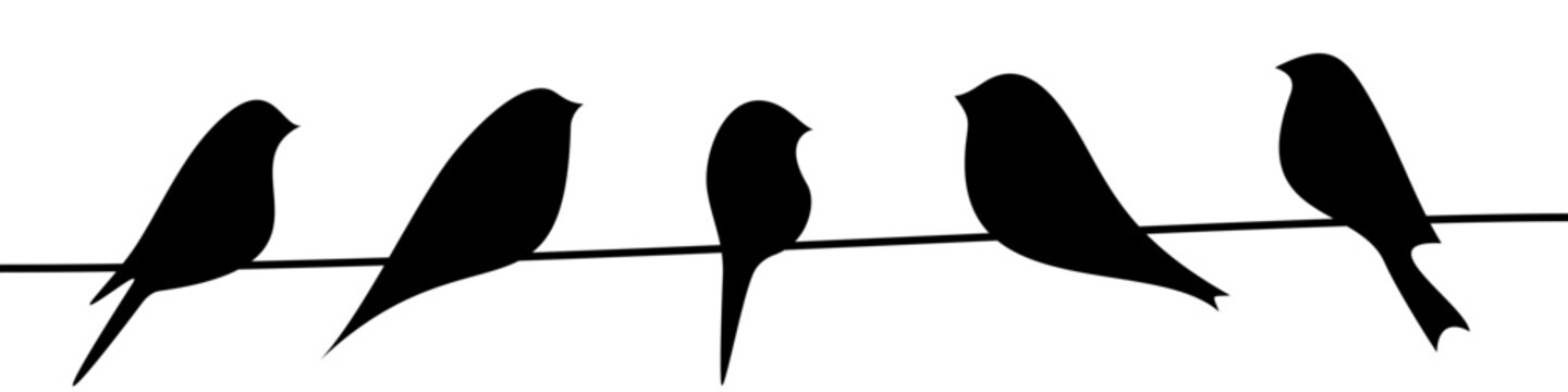 Set of bird silhouettes in different poses on wire illustrations