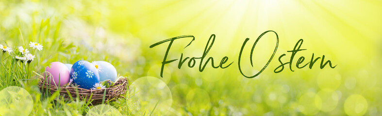 Happy Easter   -  Nest with Easter eggs in grass on a sunny spring day - Easter decoration, banner, panorama, background  -  German text