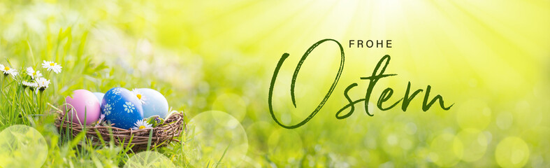 Happy Easter   -  Nest with Easter eggs in grass on a sunny spring day - Easter decoration, banner, panorama, background  -  German text
