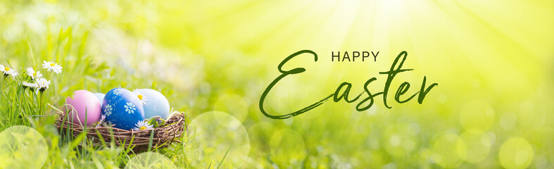 Happy Easter Banner  -  Nest with Easter eggs in grass on a sunny spring day - Easter decoration, banner, panorama, background