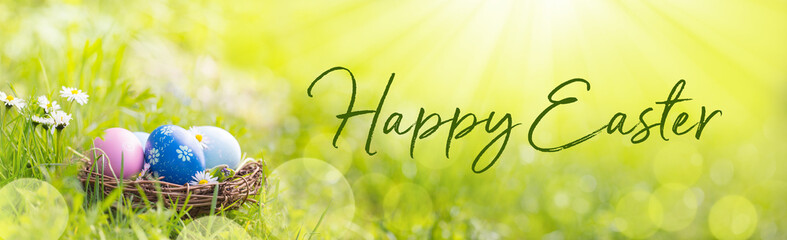 Happy Easter Banner -  Nest with Easter eggs in grass on a sunny spring day - Easter decoration, banner, panorama, background
